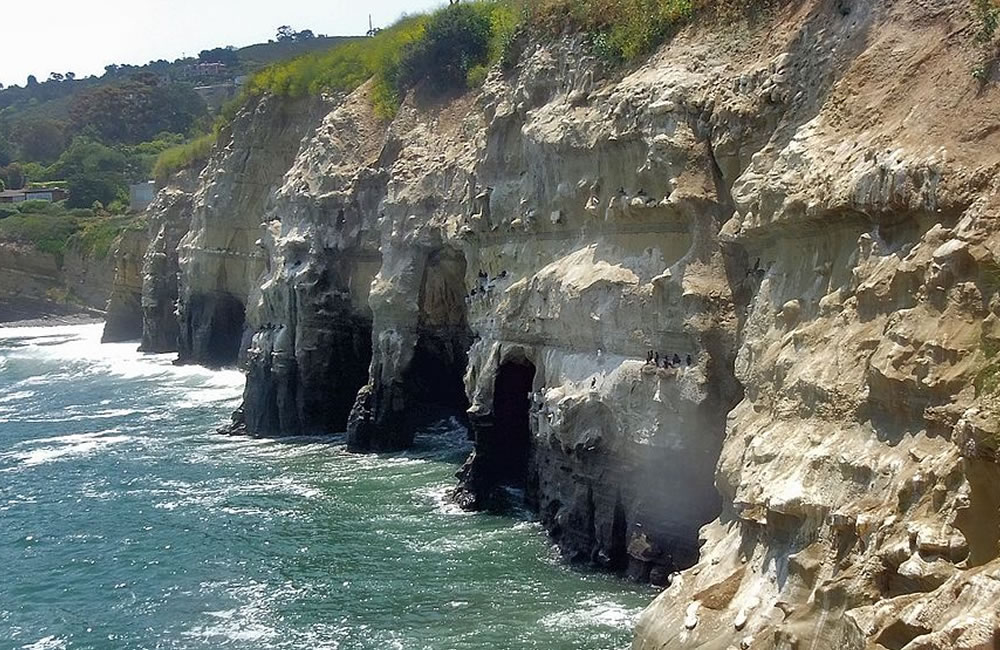 La Jolla Cove Vortex - Vortex Hunters